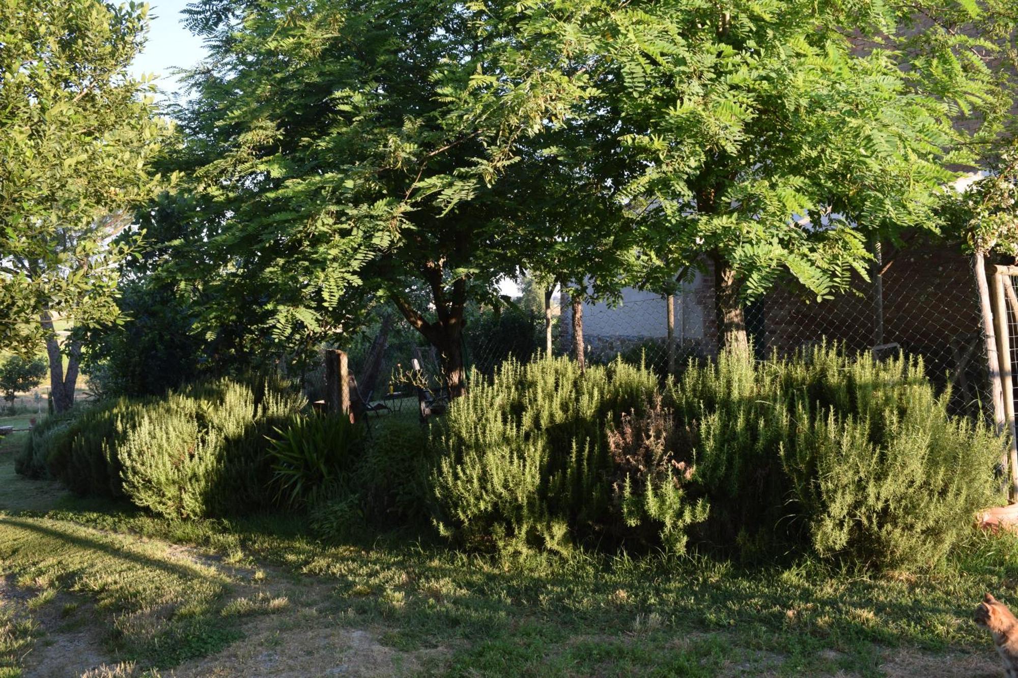 Il Saragio Vila Abbadia di Montepulciano Exterior foto