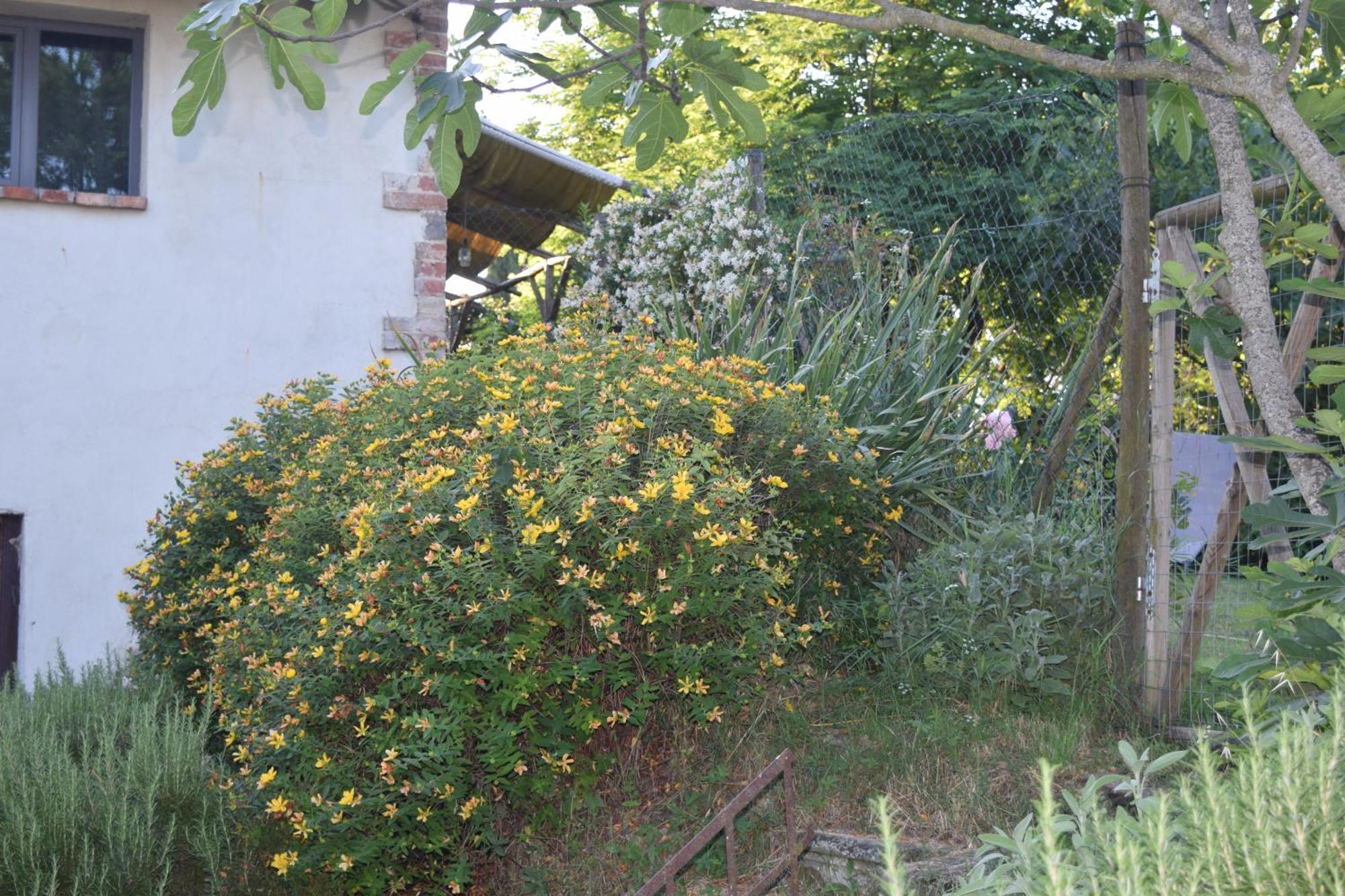 Il Saragio Vila Abbadia di Montepulciano Exterior foto